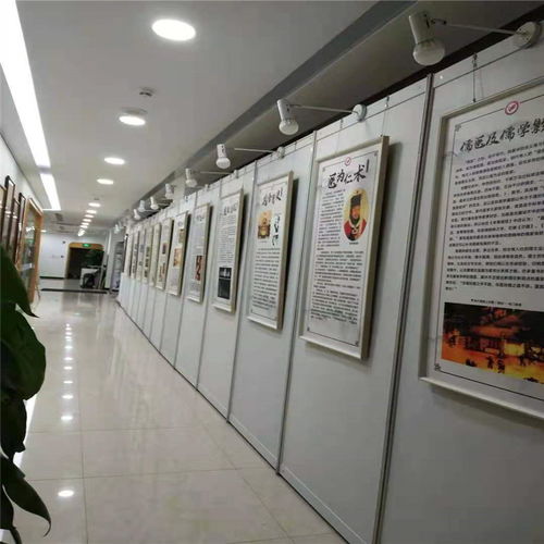 深圳展板出租价格及网络科技领域技术开发支持服务概览